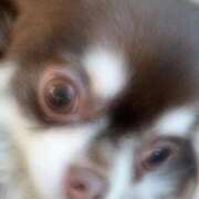 ヒメ日記 2026/02/01 07:02 投稿 くみ SOAPLAND LOVE FACTORY