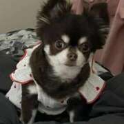 ヒメ日記 2026/02/26 12:29 投稿 くみ SOAPLAND LOVE FACTORY