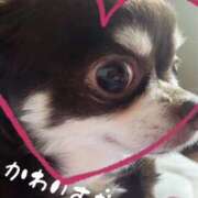 ヒメ日記 2026/03/01 17:12 投稿 くみ SOAPLAND LOVE FACTORY