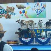ヒメ日記 2026/06/29 00:22 投稿 くみ SOAPLAND LOVE FACTORY
