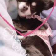ヒメ日記 2026/07/07 13:32 投稿 くみ SOAPLAND LOVE FACTORY