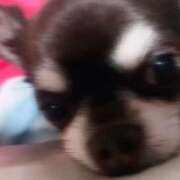 ヒメ日記 2026/08/14 13:52 投稿 くみ SOAPLAND LOVE FACTORY