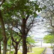 ヒメ日記 2025/05/09 13:33 投稿 ゆうみ-プレミア嬢 南国ラブストーリー宮古島