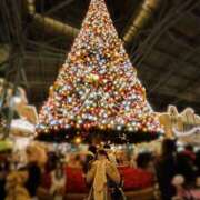 ヒメ日記 2024/12/25 01:36 投稿 まりの トリプルA