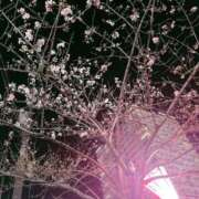 ヒメ日記 2025/03/27 13:06 投稿 まりの トリプルA