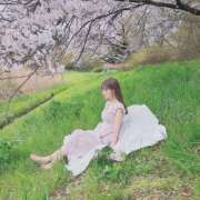 ヒメ日記 2025/05/14 15:22 投稿 ふう THE ESUTE 渋谷