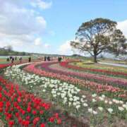 ヒメ日記 2025/04/24 18:11 投稿 かりな/Karina VERY（ヴェリィ)