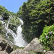 ヒメ日記 2025/06/25 10:26 投稿 かりな/Karina VERY（ヴェリィ)