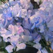 ヒメ日記 2025/03/17 18:34 投稿 東雲舞桜 お姉さんCLUB