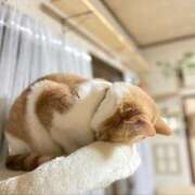 ヒメ日記 2025/04/08 19:34 投稿 東雲舞桜 お姉さんCLUB