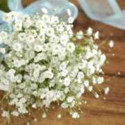 ヒメ日記 2025/09/12 21:51 投稿 東雲舞桜 お姉さんCLUB