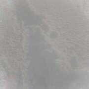 ヒメ日記 2026/01/25 11:49 投稿 東雲舞桜 お姉さんCLUB