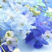 ヒメ日記 2026/03/13 17:36 投稿 東雲舞桜 お姉さんCLUB