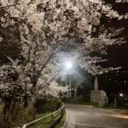 ヒメ日記 2026/04/10 18:49 投稿 東雲舞桜 お姉さんCLUB