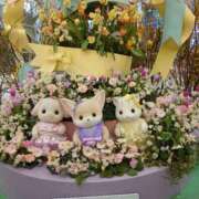 ヒメ日記 2025/04/08 21:00 投稿 中村　あんな ギン妻パラダイス 谷九店