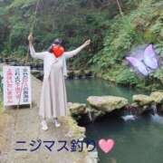 ヒメ日記 2025/11/16 23:21 投稿 中村　あんな ギン妻パラダイス 谷九店