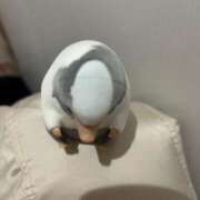 ヒメ日記 2025/01/12 18:10 投稿 うさぎ 全裸の女神orいたずら痴漢電車