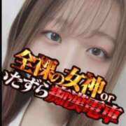ヒメ日記 2025/02/23 18:48 投稿 うさぎ 全裸の女神orいたずら痴漢電車