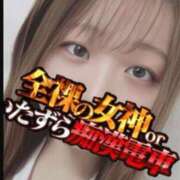 ヒメ日記 2025/03/02 12:38 投稿 うさぎ 全裸の女神orいたずら痴漢電車