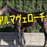 ヒメ日記 2025/04/13 12:45 投稿 ひなた みせすはーと