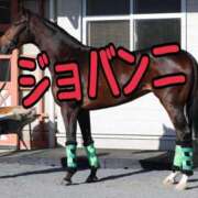 ヒメ日記 2025/04/20 11:44 投稿 ひなた みせすはーと