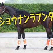 ヒメ日記 2025/05/04 11:53 投稿 ひなた みせすはーと