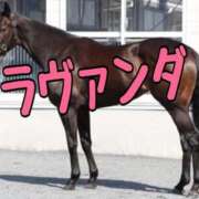 ヒメ日記 2025/06/22 12:20 投稿 ひなた みせすはーと