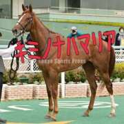 ヒメ日記 2025/06/29 14:02 投稿 ひなた みせすはーと