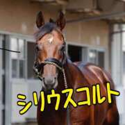 ヒメ日記 2025/07/13 12:55 投稿 ひなた みせすはーと