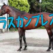 ヒメ日記 2025/07/20 14:32 投稿 ひなた みせすはーと