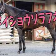 ヒメ日記 2025/08/10 11:22 投稿 ひなた みせすはーと