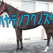 ヒメ日記 2025/08/17 13:47 投稿 ひなた みせすはーと