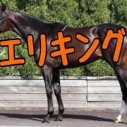 ひなた 菊花賞🐎 みせすはーと