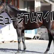ヒメ日記 2025/12/28 08:34 投稿 ひなた みせすはーと