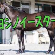 ひなた 北九州記念🐎 みせすはーと