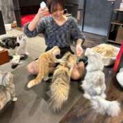 ヒメ日記 2026/02/02 14:57 投稿 らん ムーランルージュ