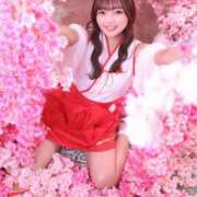 ヒメ日記 2026/03/28 11:55 投稿 らん ムーランルージュ