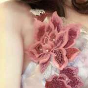 ヒメ日記 2024/12/14 11:04 投稿 白川瑛梨 プレジデントハウス