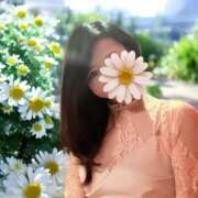 ヒメ日記 2025/03/22 11:01 投稿 白川瑛梨 プレジデントハウス