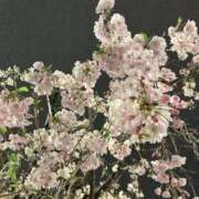 ヒメ日記 2025/03/30 00:48 投稿 白川瑛梨 プレジデントハウス