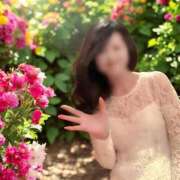 ヒメ日記 2025/04/16 12:31 投稿 白川瑛梨 プレジデントハウス