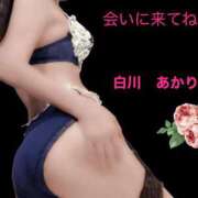 ヒメ日記 2025/04/26 10:31 投稿 白川瑛梨 プレジデントハウス