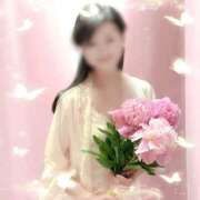 ヒメ日記 2025/04/28 19:30 投稿 白川瑛梨 プレジデントハウス