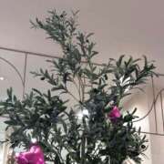 ヒメ日記 2025/06/14 19:02 投稿 白川瑛梨 プレジデントハウス