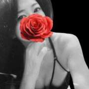 ヒメ日記 2025/08/28 08:30 投稿 白川瑛梨 プレジデントハウス