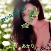 ヒメ日記 2025/09/01 07:45 投稿 白川瑛梨 プレジデントハウス