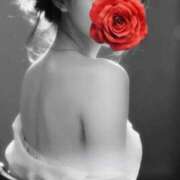 ヒメ日記 2025/10/07 11:33 投稿 白川瑛梨 プレジデントハウス