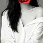 ヒメ日記 2025/11/01 20:01 投稿 白川瑛梨 プレジデントハウス