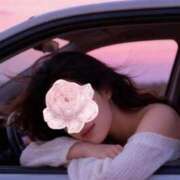 ヒメ日記 2025/11/07 07:45 投稿 白川瑛梨 プレジデントハウス