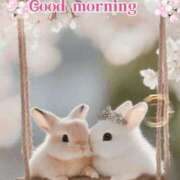 ヒメ日記 2025/11/18 07:30 投稿 白川瑛梨 プレジデントハウス